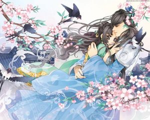 狼狼导航在线